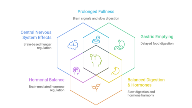 How GLP-1 drugs naturally reduce appetite by controlling hunger signals, increasing fullness, and supporting sustainable weight loss.