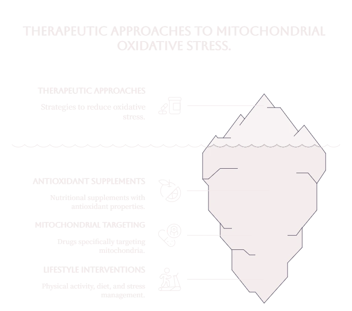 Mitochondria 1 oxidative stress